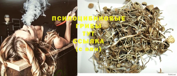 гидра Абаза