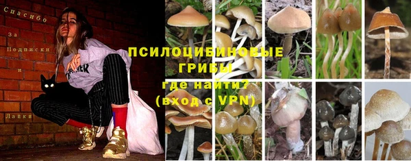кокаин колумбия Алексин