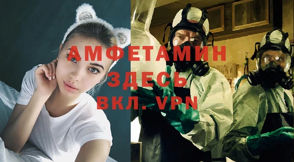 гидра Абаза