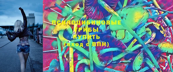 бошки Алексеевка
