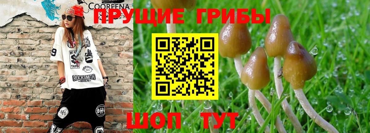 Усолье-Сибирское  наркошоп  Галлюциногенные грибы мицелий  Вход с VPN  Галлюциногенные грибы GOLDEN TEACHER 