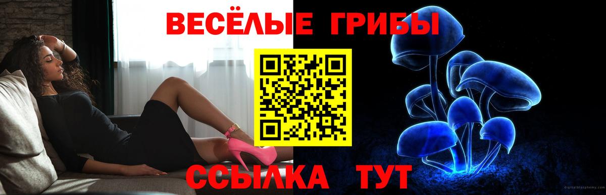 Галлюциногенные грибы мицелий Усолье-Сибирское